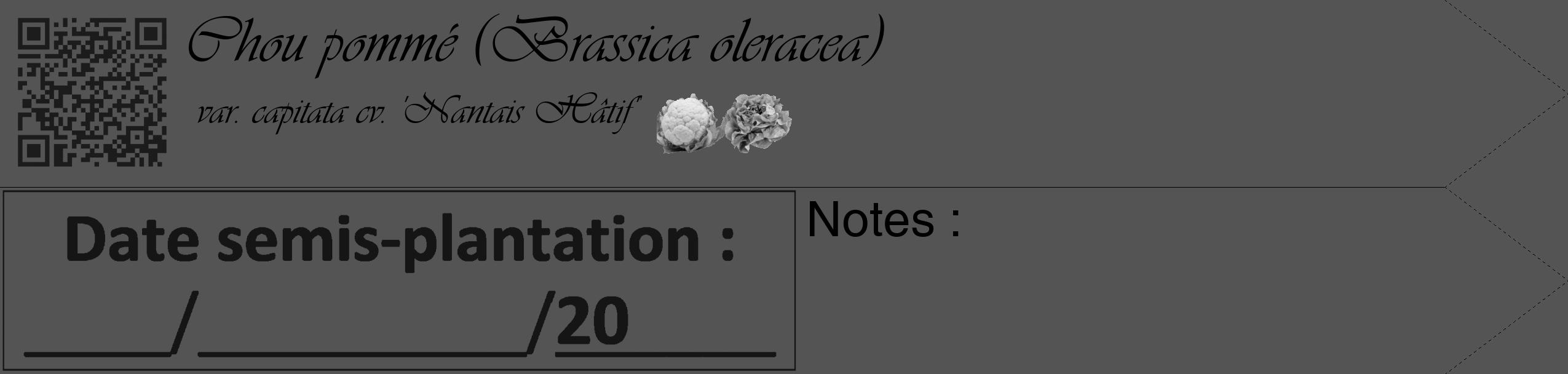 Étiquette de : Brassica oleracea var. capitata cv. 'Nantais Hâtif' - format c - style noire30_simple_simpleviv avec qrcode et comestibilité simplifiée