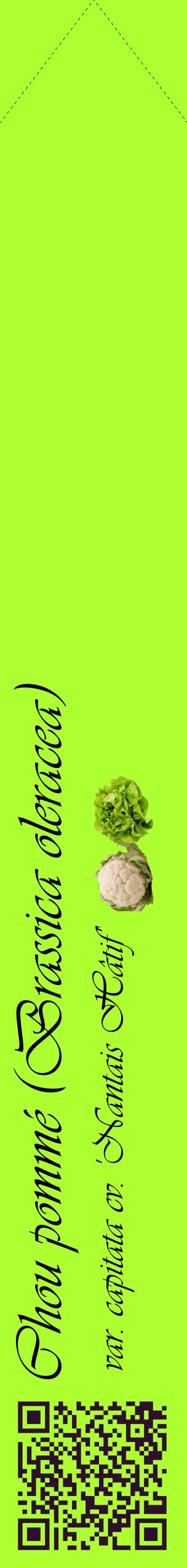 Étiquette de : Brassica oleracea var. capitata cv. 'Nantais Hâtif' - format c - style noire17_simpleviv avec qrcode et comestibilité simplifiée