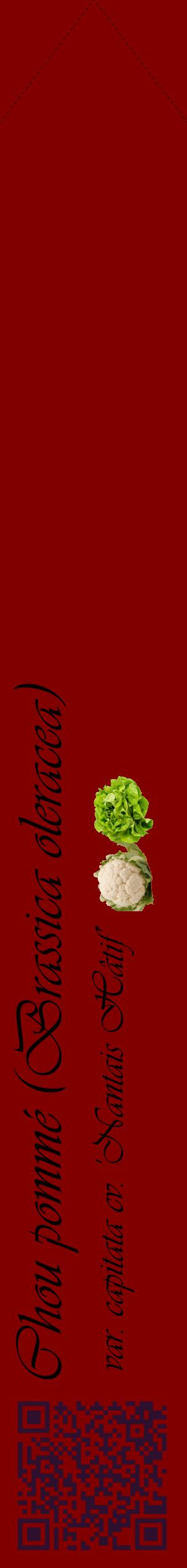 Étiquette de : Brassica oleracea var. capitata cv. 'Nantais Hâtif' - format c - style noire29_simpleviv avec qrcode et comestibilité simplifiée
