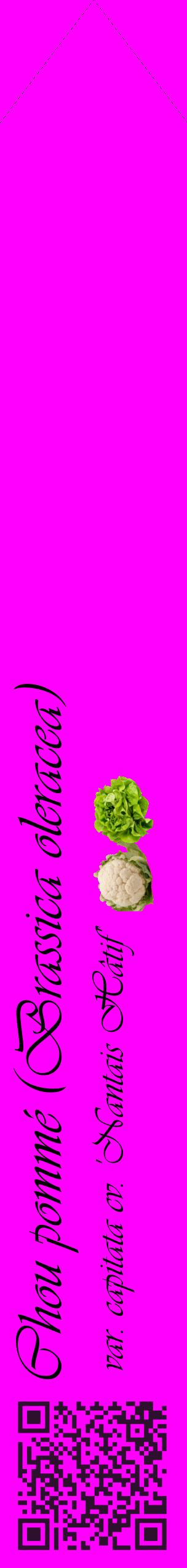 Étiquette de : Brassica oleracea var. capitata cv. 'Nantais Hâtif' - format c - style noire51_simpleviv avec qrcode et comestibilité simplifiée