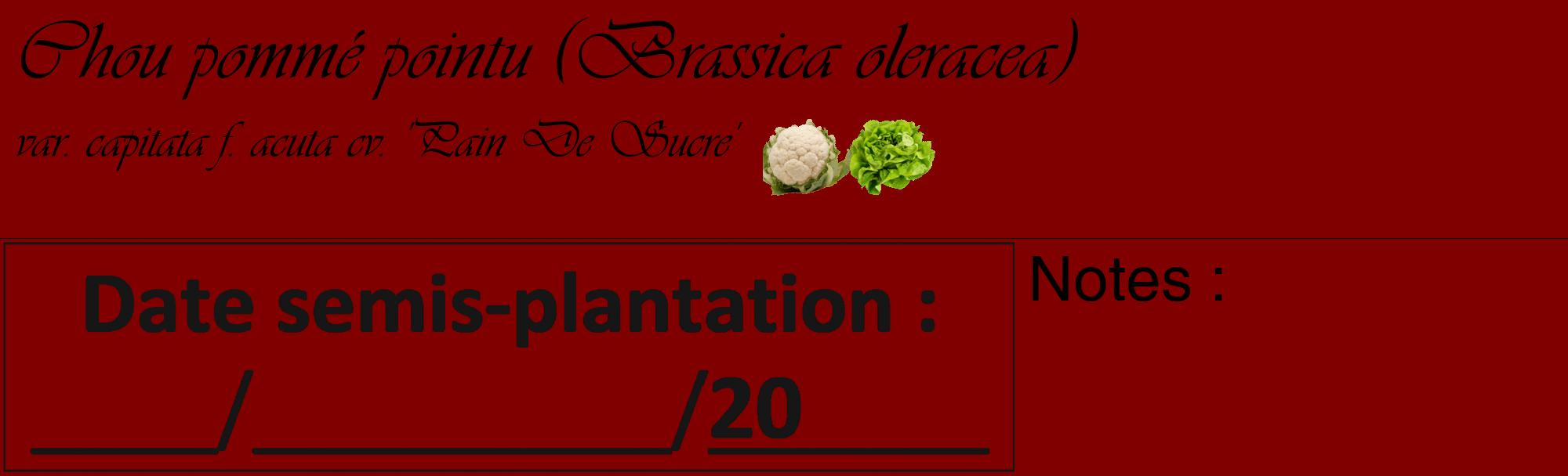 Étiquette de : Brassica oleracea var. capitata f. acuta cv. 'Pain De Sucre' - format c - style noire29basique_basique_basiqueviv avec comestibilité simplifiée