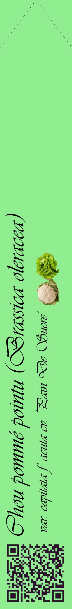 Étiquette de : Brassica oleracea var. capitata f. acuta cv. 'Pain De Sucre' - format c - style noire15_simpleviv avec qrcode et comestibilité simplifiée