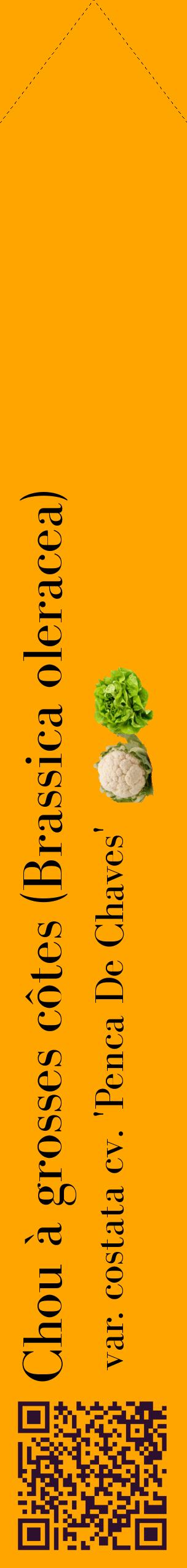 Étiquette de : Brassica oleracea var. costata cv. 'Penca De Chaves' - format c - style noire22_simplebod avec qrcode et comestibilité simplifiée
