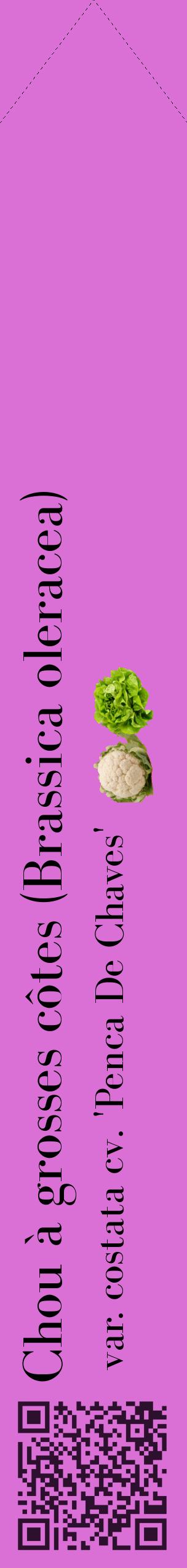 Étiquette de : Brassica oleracea var. costata cv. 'Penca De Chaves' - format c - style noire52_simplebod avec qrcode et comestibilité simplifiée