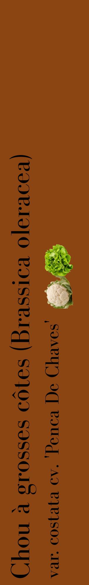 Étiquette de : Brassica oleracea var. costata cv. 'Penca De Chaves' - format c - style noire30_basiquebod avec comestibilité simplifiée