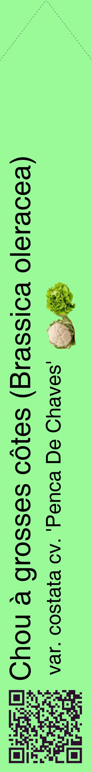 Étiquette de : Brassica oleracea var. costata cv. 'Penca De Chaves' - format c - style noire14_simplehel avec qrcode et comestibilité simplifiée