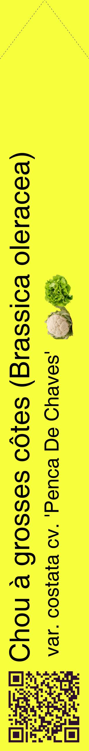 Étiquette de : Brassica oleracea var. costata cv. 'Penca De Chaves' - format c - style noire18_simplehel avec qrcode et comestibilité simplifiée