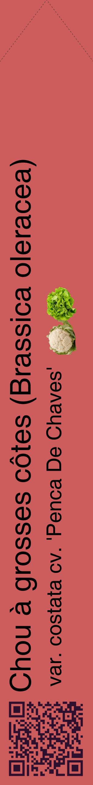 Étiquette de : Brassica oleracea var. costata cv. 'Penca De Chaves' - format c - style noire35_simplehel avec qrcode et comestibilité simplifiée