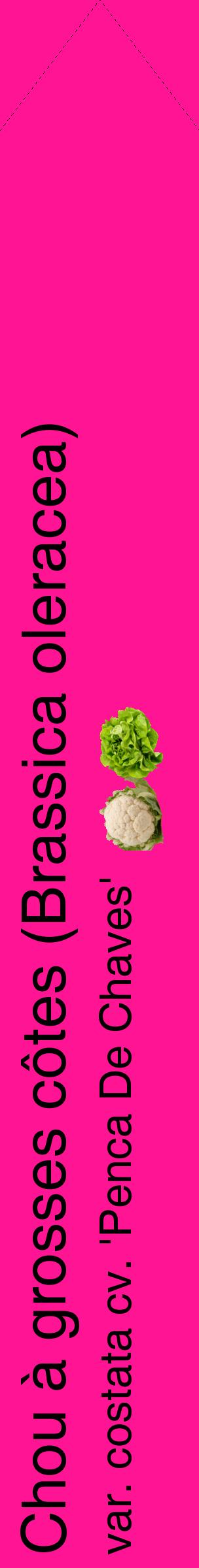 Étiquette de : Brassica oleracea var. costata cv. 'Penca De Chaves' - format c - style noire43_simplehel avec comestibilité simplifiée