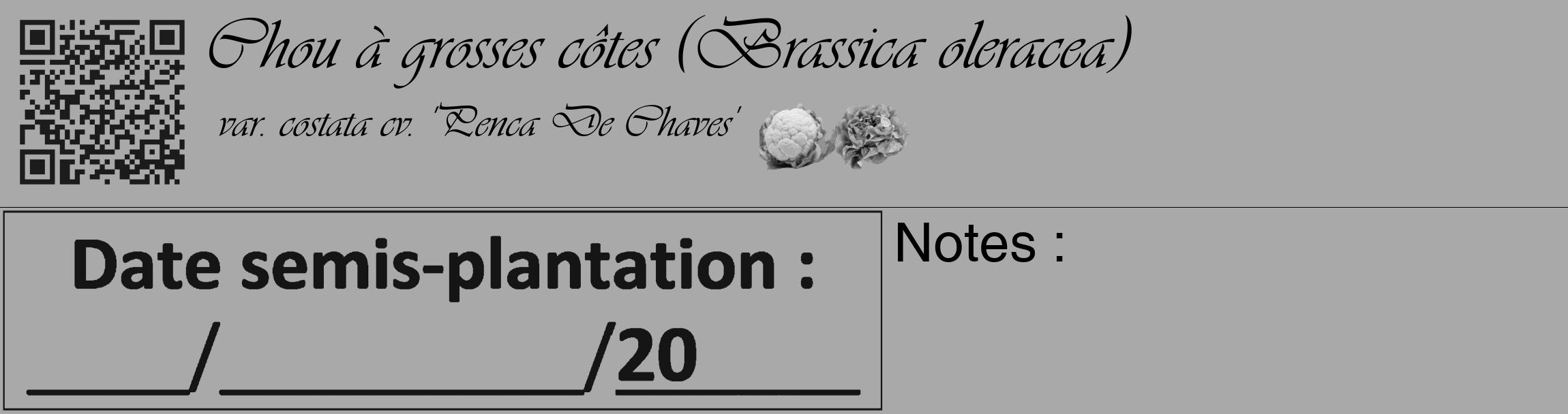Étiquette de : Brassica oleracea var. costata cv. 'Penca De Chaves' - format c - style noire13_basique_basiqueviv avec qrcode et comestibilité simplifiée