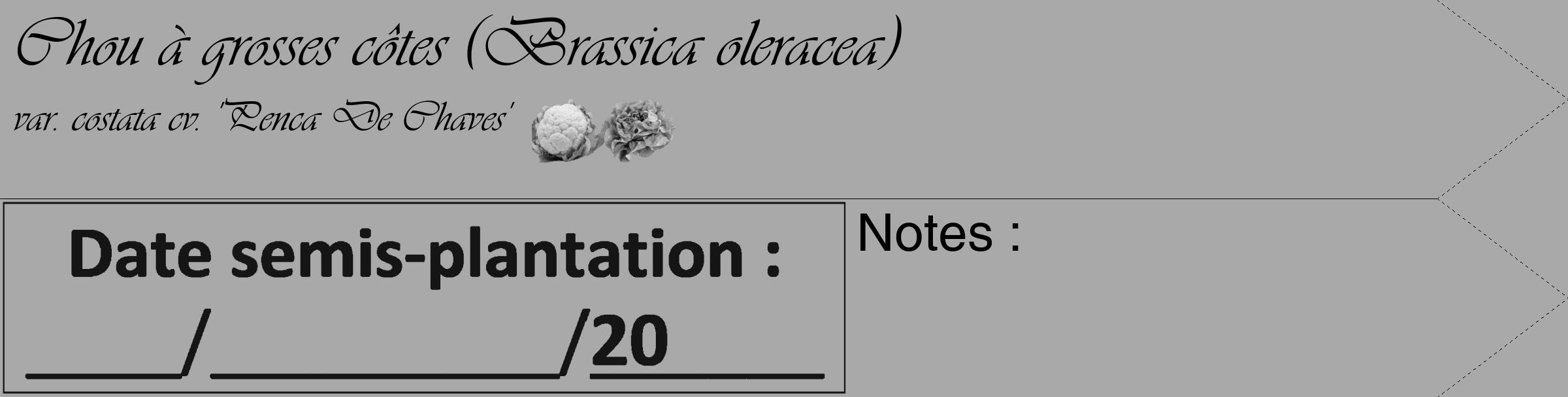 Étiquette de : Brassica oleracea var. costata cv. 'Penca De Chaves' - format c - style noire13_simple_simpleviv avec comestibilité simplifiée
