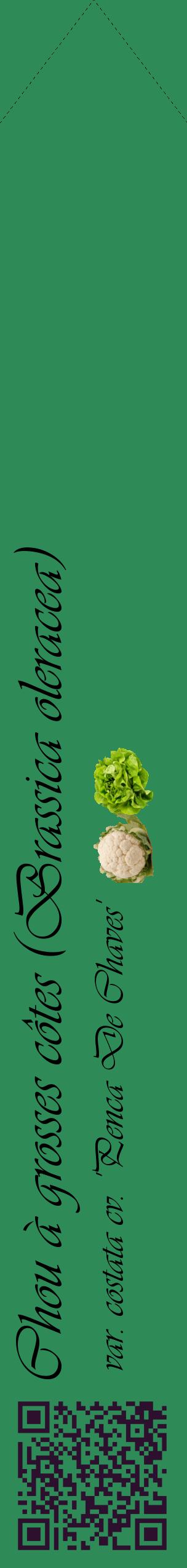 Étiquette de : Brassica oleracea var. costata cv. 'Penca De Chaves' - format c - style noire11_simpleviv avec qrcode et comestibilité simplifiée