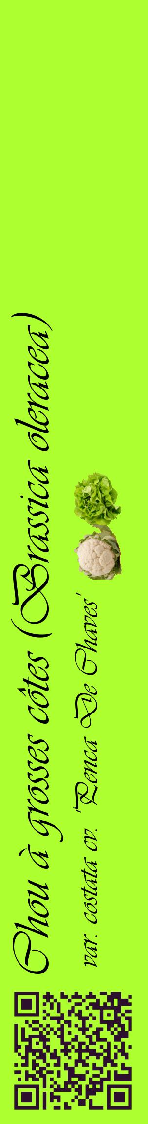 Étiquette de : Brassica oleracea var. costata cv. 'Penca De Chaves' - format c - style noire17_basiqueviv avec qrcode et comestibilité simplifiée