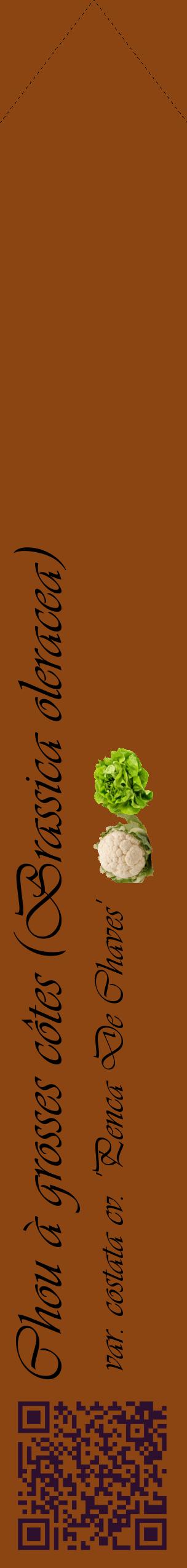 Étiquette de : Brassica oleracea var. costata cv. 'Penca De Chaves' - format c - style noire30_simpleviv avec qrcode et comestibilité simplifiée