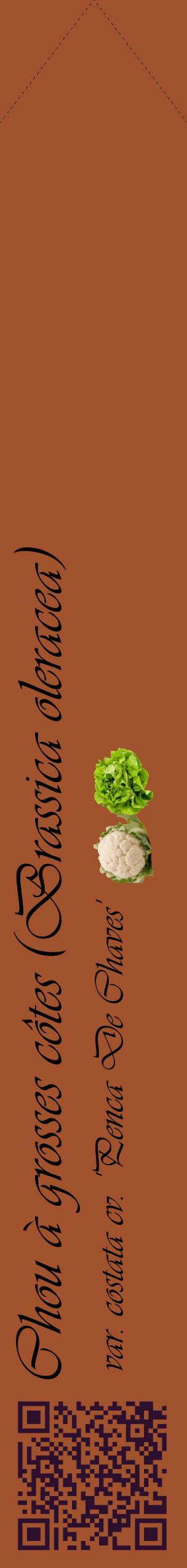 Étiquette de : Brassica oleracea var. costata cv. 'Penca De Chaves' - format c - style noire32_simpleviv avec qrcode et comestibilité simplifiée