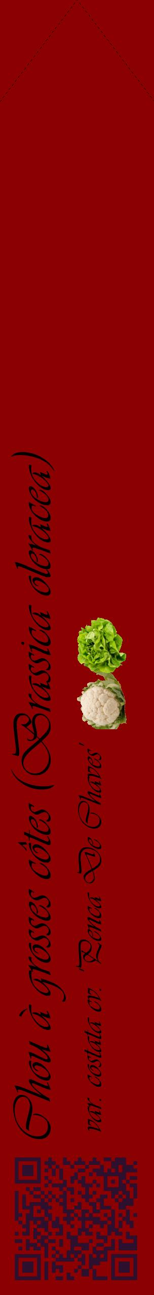 Étiquette de : Brassica oleracea var. costata cv. 'Penca De Chaves' - format c - style noire34_simpleviv avec qrcode et comestibilité simplifiée