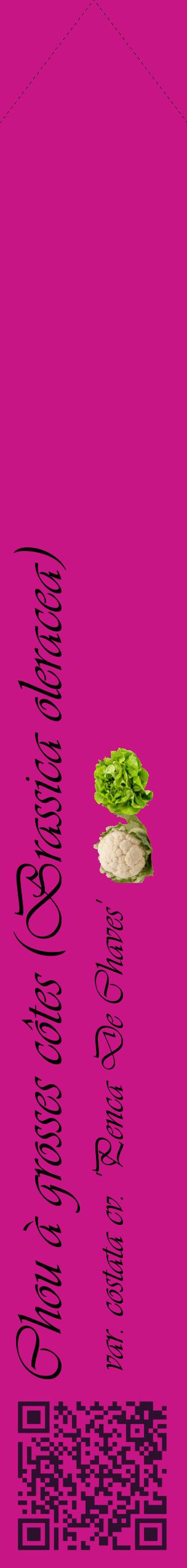 Étiquette de : Brassica oleracea var. costata cv. 'Penca De Chaves' - format c - style noire45_simpleviv avec qrcode et comestibilité simplifiée