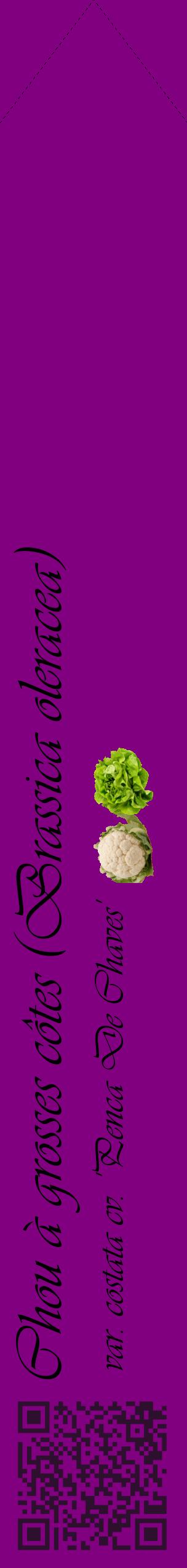 Étiquette de : Brassica oleracea var. costata cv. 'Penca De Chaves' - format c - style noire46_simpleviv avec qrcode et comestibilité simplifiée
