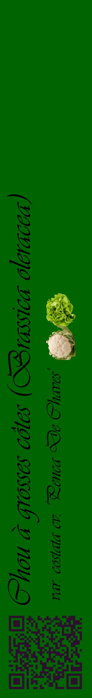 Étiquette de : Brassica oleracea var. costata cv. 'Penca De Chaves' - format c - style noire8basique_basique_basiqueviv avec qrcode et comestibilité simplifiée - position verticale