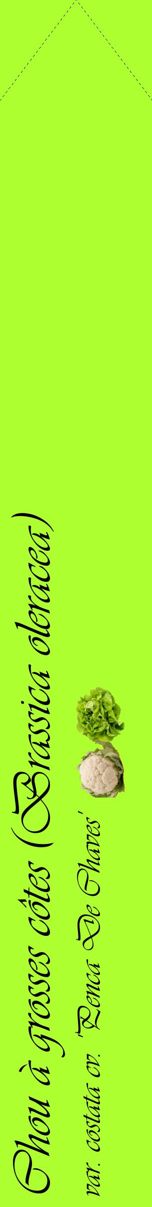 Étiquette de : Brassica oleracea var. costata cv. 'Penca De Chaves' - format c - style noire17_simpleviv avec comestibilité simplifiée