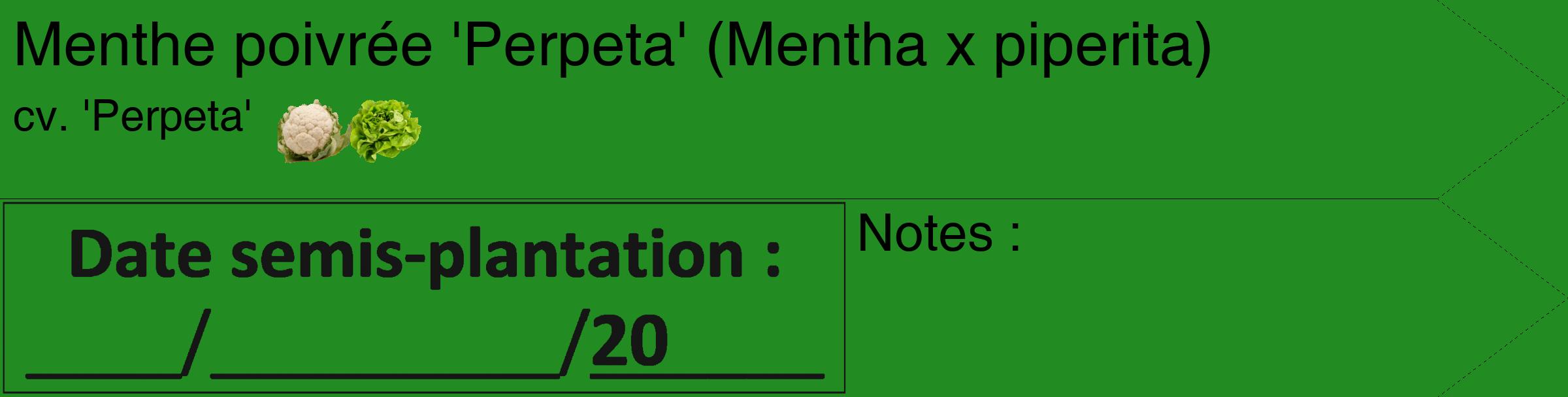 Étiquette de : Mentha x piperita cv. 'Perpeta' - format c - style noire10simple_simple_simplehel avec comestibilité simplifiée