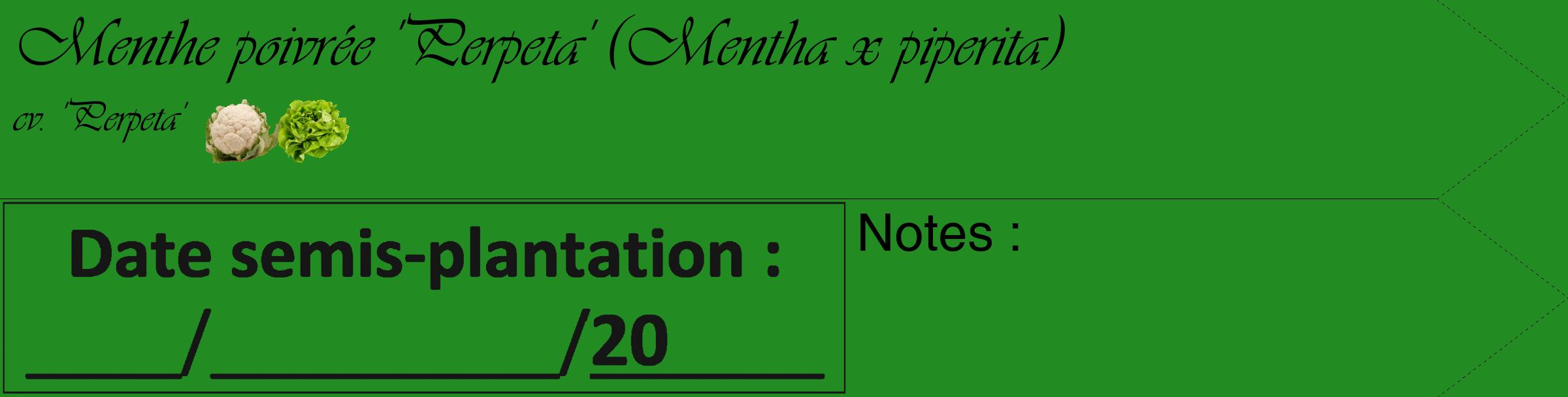 Étiquette de : Mentha x piperita cv. 'Perpeta' - format c - style noire10simple_basique_basiqueviv avec comestibilité simplifiée