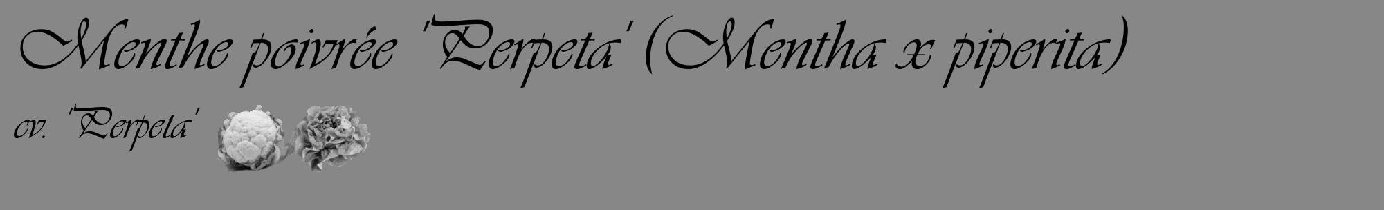 Étiquette de : Mentha x piperita cv. 'Perpeta' - format c - style noire12_basique_basiqueviv avec comestibilité simplifiée