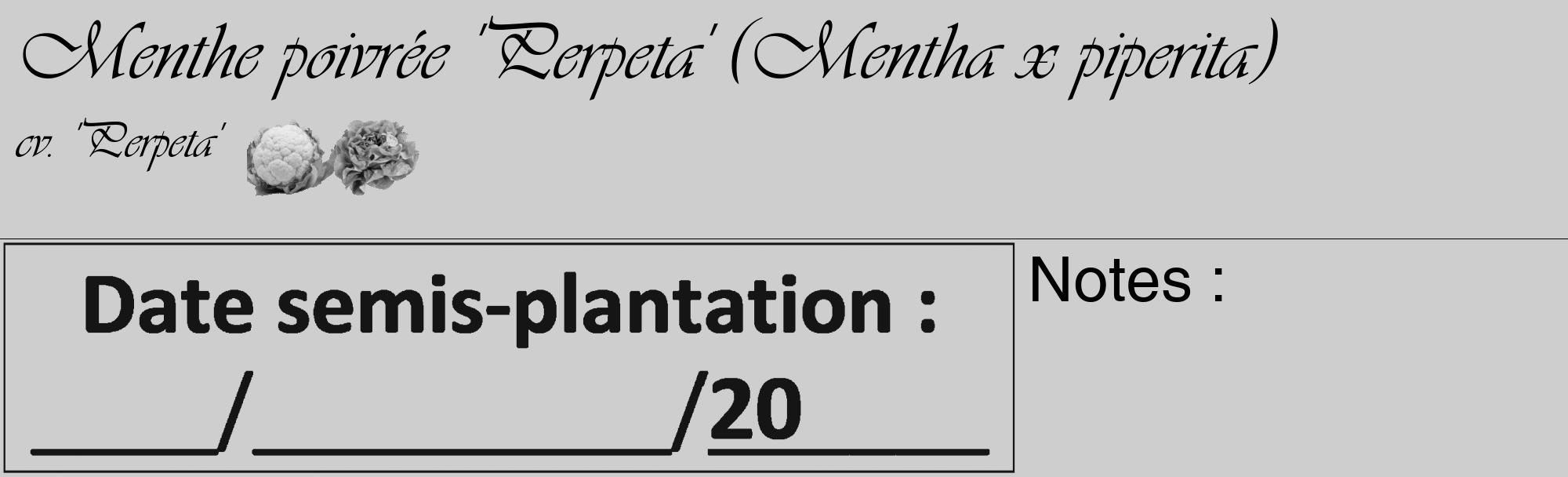 Étiquette de : Mentha x piperita cv. 'Perpeta' - format c - style noire17_basique_basiqueviv avec comestibilité simplifiée