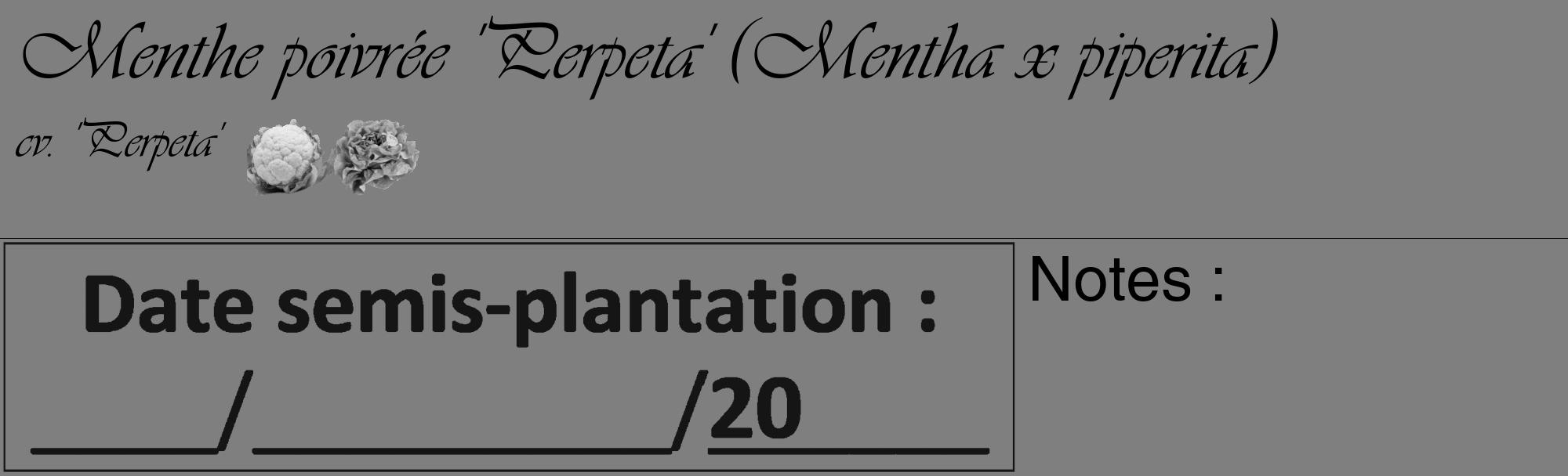 Étiquette de : Mentha x piperita cv. 'Perpeta' - format c - style noire31_basique_basiqueviv avec comestibilité simplifiée