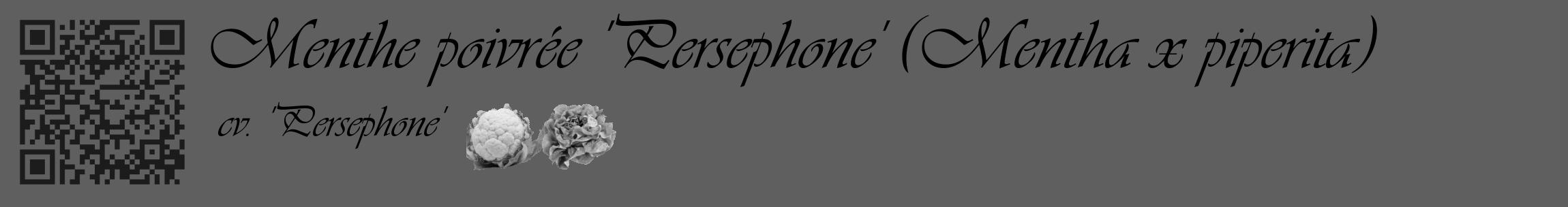 Étiquette de : Mentha x piperita cv. 'Persephone' - format c - style noire10_basique_basiqueviv avec qrcode et comestibilité simplifiée