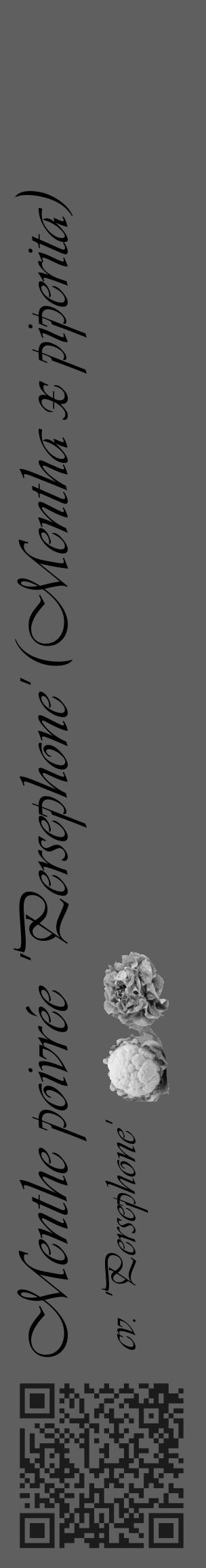 Étiquette de : Mentha x piperita cv. 'Persephone' - format c - style noire10_basique_basiqueviv avec qrcode et comestibilité simplifiée - position verticale