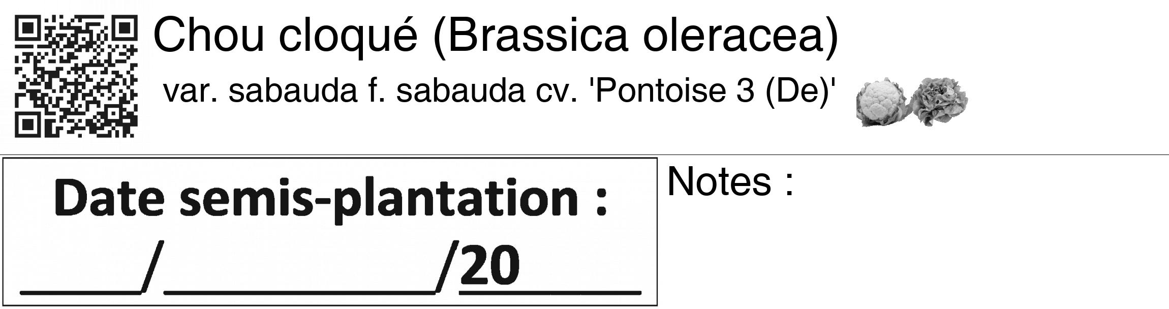Étiquette de : Brassica oleracea var. sabauda f. sabauda cv. 'Pontoise 3 (De)' - format c - style noire60_basiquegrrvhel avec qrcode et comestibilité simplifiée