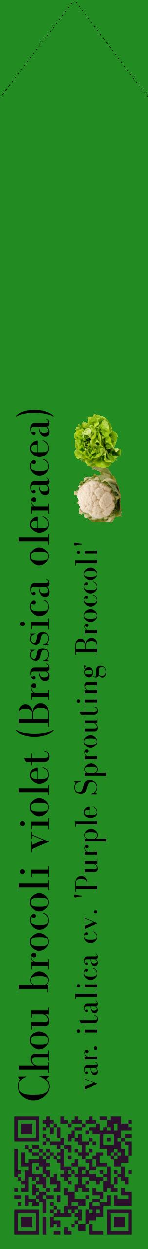 Étiquette de : Brassica oleracea var. italica cv. 'Purple Sprouting Broccoli' - format c - style noire10_simplebod avec qrcode et comestibilité simplifiée