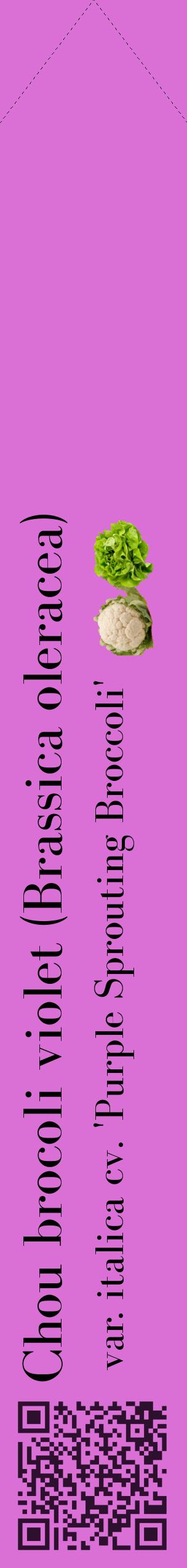 Étiquette de : Brassica oleracea var. italica cv. 'Purple Sprouting Broccoli' - format c - style noire52_simplebod avec qrcode et comestibilité simplifiée