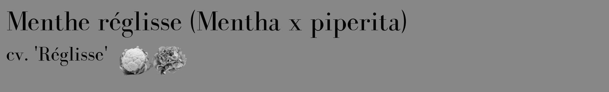 Étiquette de : Mentha x piperita cv. 'Réglisse' - format c - style noire12_basique_basiquebod avec comestibilité simplifiée