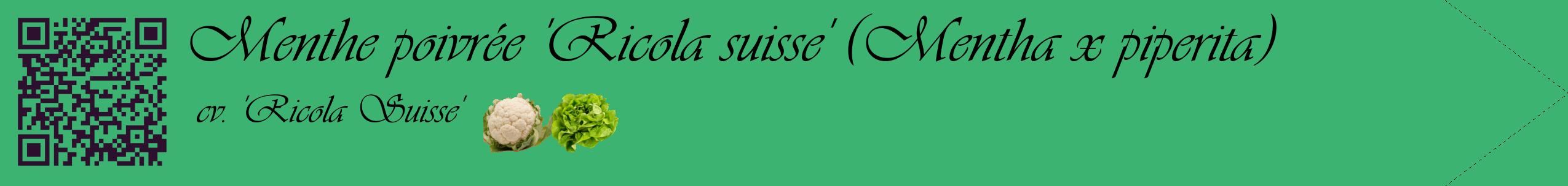 Étiquette de : Mentha x piperita cv. 'Ricola Suisse' - format c - style noire12simple_basique_basiqueviv avec qrcode et comestibilité simplifiée