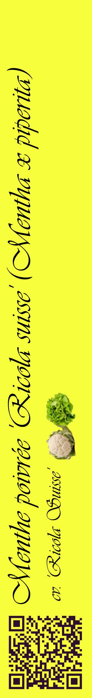 Étiquette de : Mentha x piperita cv. 'Ricola Suisse' - format c - style noire18_basiqueviv avec qrcode et comestibilité simplifiée