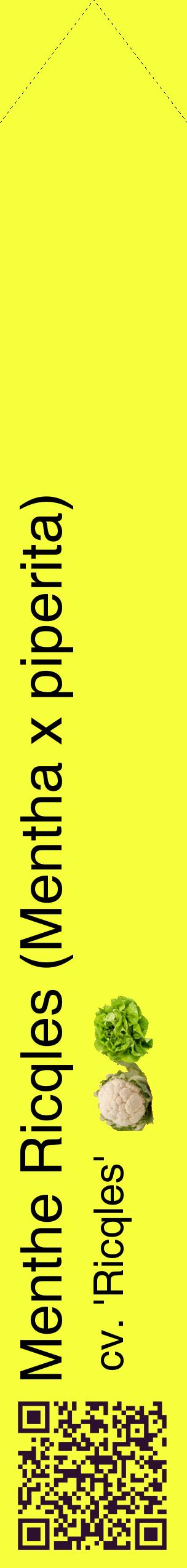 Étiquette de : Mentha x piperita cv. 'Ricqles' - format c - style noire18_simplehel avec qrcode et comestibilité simplifiée