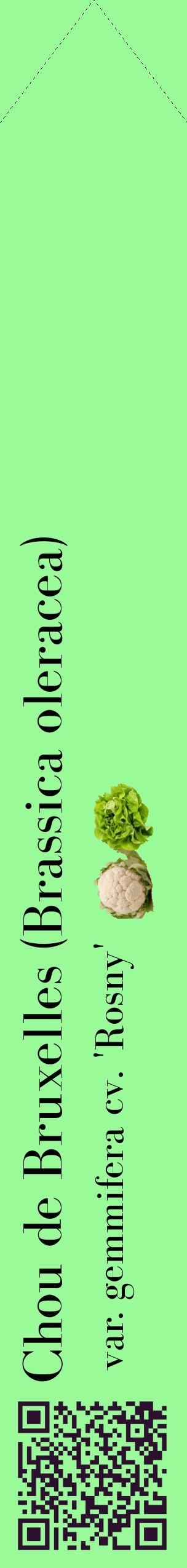 Étiquette de : Brassica oleracea var. gemmifera cv. 'Rosny' - format c - style noire14_simplebod avec qrcode et comestibilité simplifiée