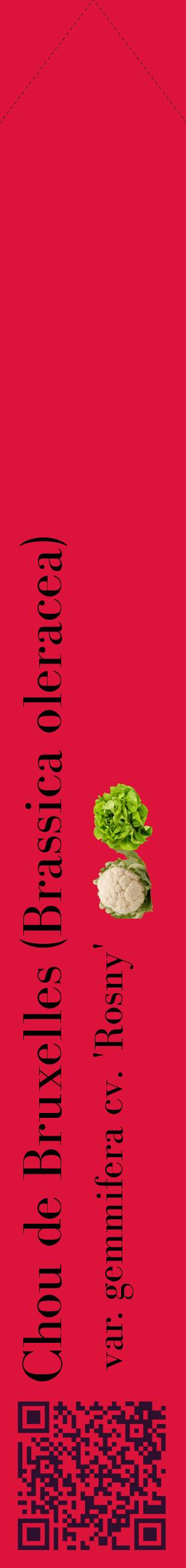 Étiquette de : Brassica oleracea var. gemmifera cv. 'Rosny' - format c - style noire36_simplebod avec qrcode et comestibilité simplifiée
