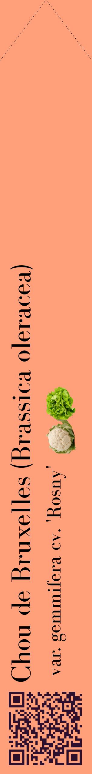 Étiquette de : Brassica oleracea var. gemmifera cv. 'Rosny' - format c - style noire39_simplebod avec qrcode et comestibilité simplifiée