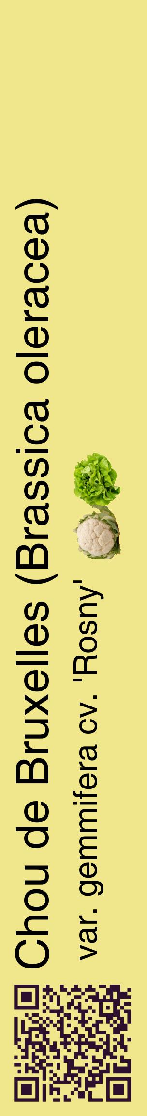 Étiquette de : Brassica oleracea var. gemmifera cv. 'Rosny' - format c - style noire20_basiquehel avec qrcode et comestibilité simplifiée