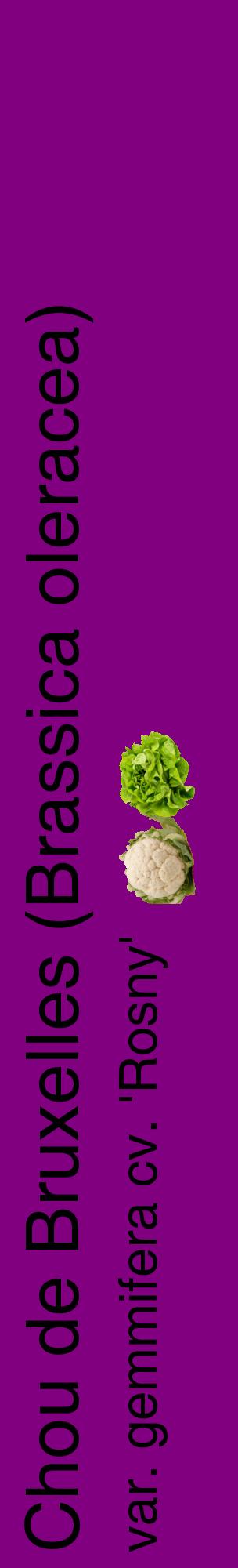 Étiquette de : Brassica oleracea var. gemmifera cv. 'Rosny' - format c - style noire46_basiquehel avec comestibilité simplifiée