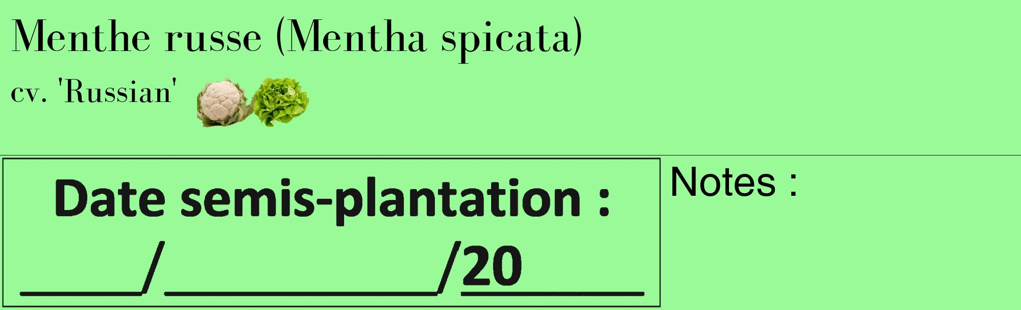Étiquette de : Mentha spicata cv. 'Russian' - format c - style noire14_basique_basiquebod avec comestibilité simplifiée