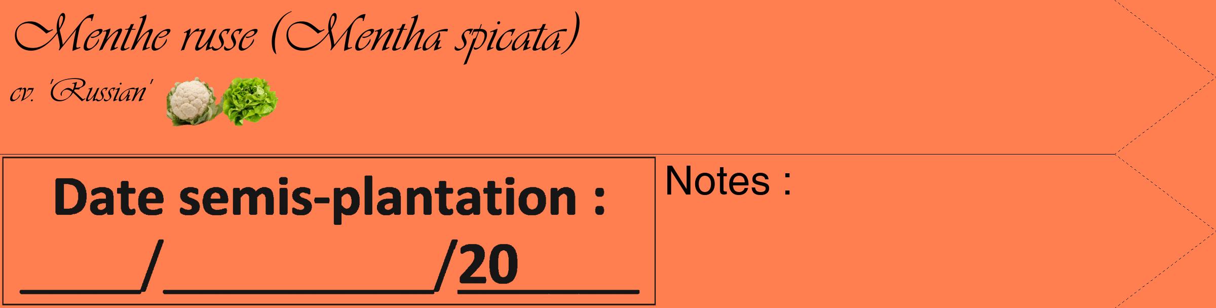 Étiquette de : Mentha spicata cv. 'Russian' - format c - style noire24_simple_simpleviv avec comestibilité simplifiée