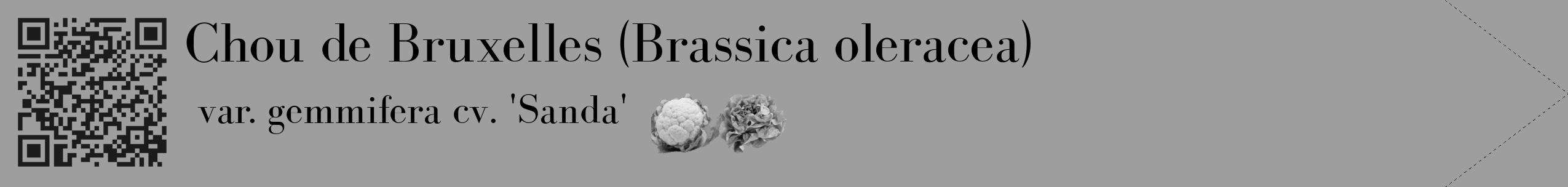 Étiquette de : Brassica oleracea var. gemmifera cv. 'Sanda' - format c - style noire23_simple_simplebod avec qrcode et comestibilité simplifiée