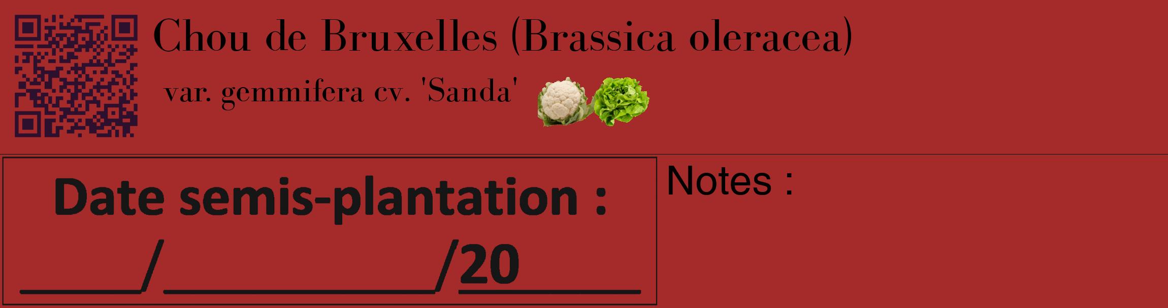 Étiquette de : Brassica oleracea var. gemmifera cv. 'Sanda' - format c - style noire33_basique_basiquebod avec qrcode et comestibilité simplifiée