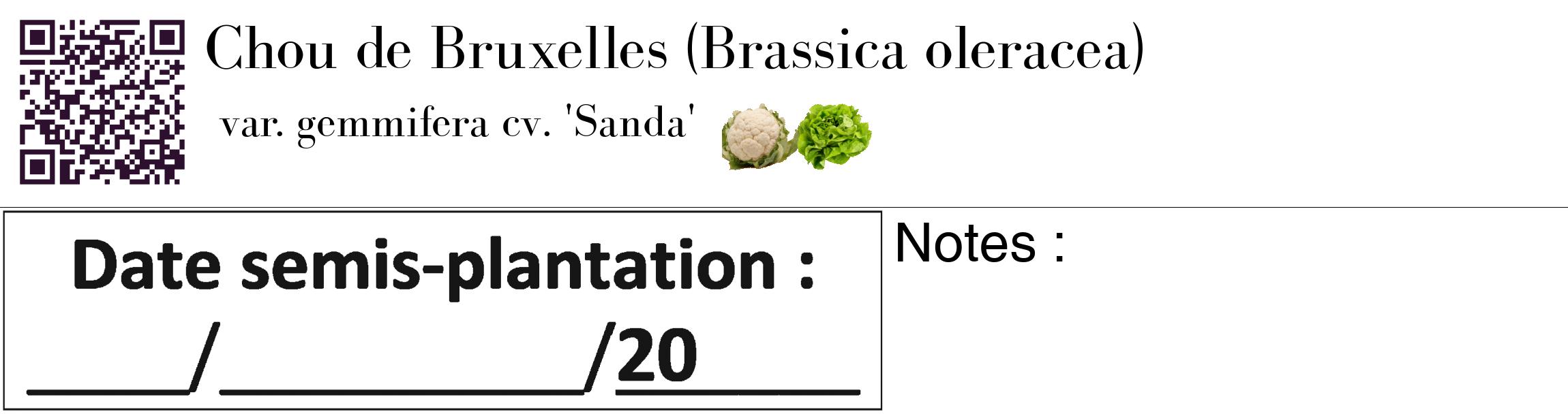 Étiquette de : Brassica oleracea var. gemmifera cv. 'Sanda' - format c - style noire60_basique_basiquebod avec qrcode et comestibilité simplifiée