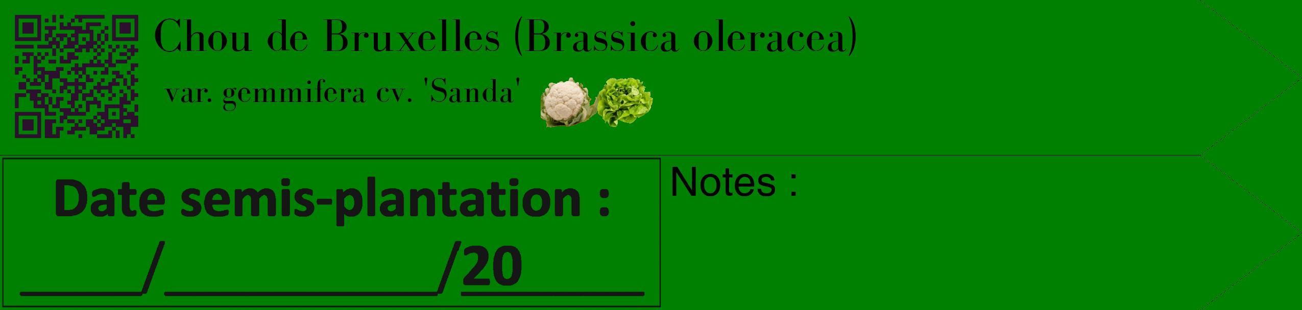 Étiquette de : Brassica oleracea var. gemmifera cv. 'Sanda' - format c - style noire9_simple_simplebod avec qrcode et comestibilité simplifiée