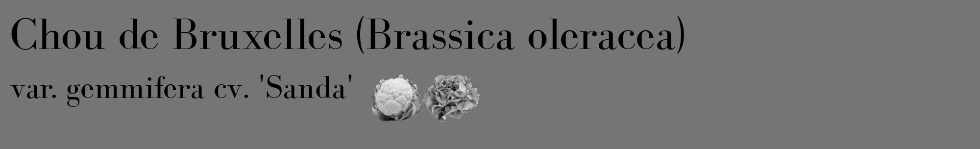 Étiquette de : Brassica oleracea var. gemmifera cv. 'Sanda' - format c - style noire5_basique_basiquebod avec comestibilité simplifiée